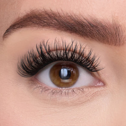 Hot Lashes Extension Kit + Free Map Guide